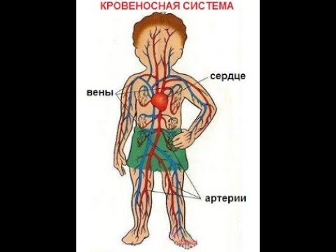 Виктор Максименков