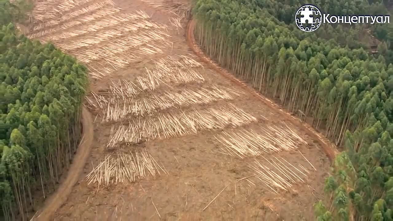 Марат Харисов