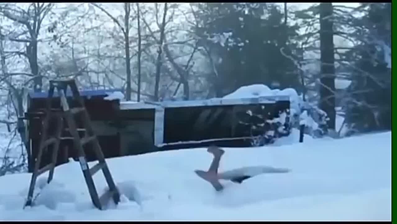 АЛКОГОЛЬ