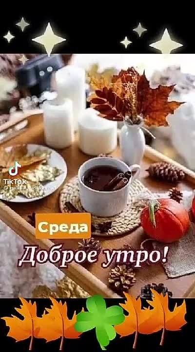 СРЕДА