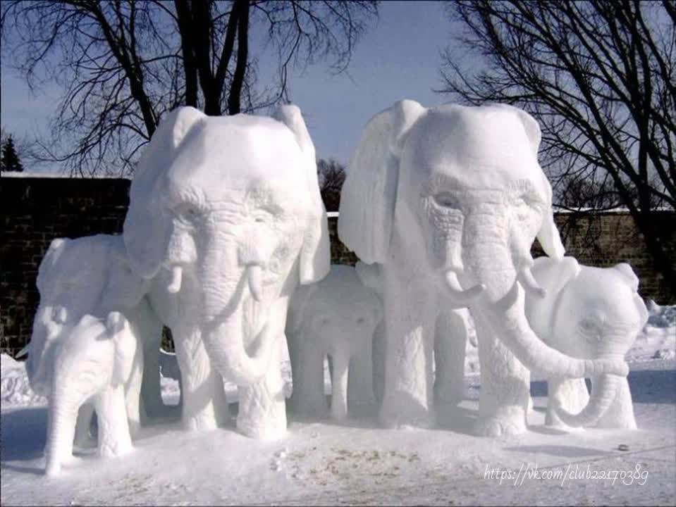 Наши новости