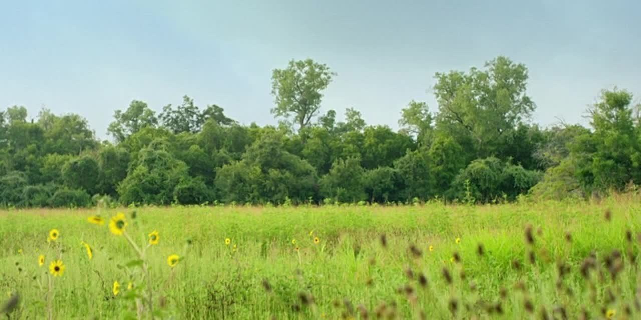 2019