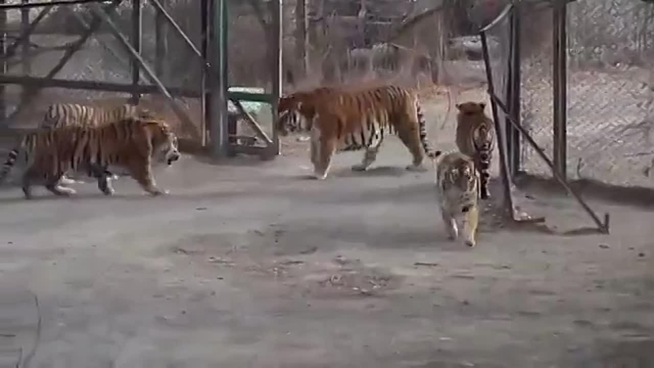 Разное