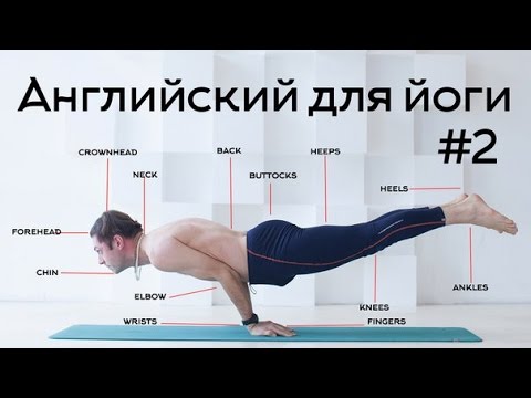 Полиглот. Английский язык.