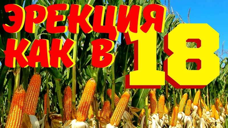 Здоровье