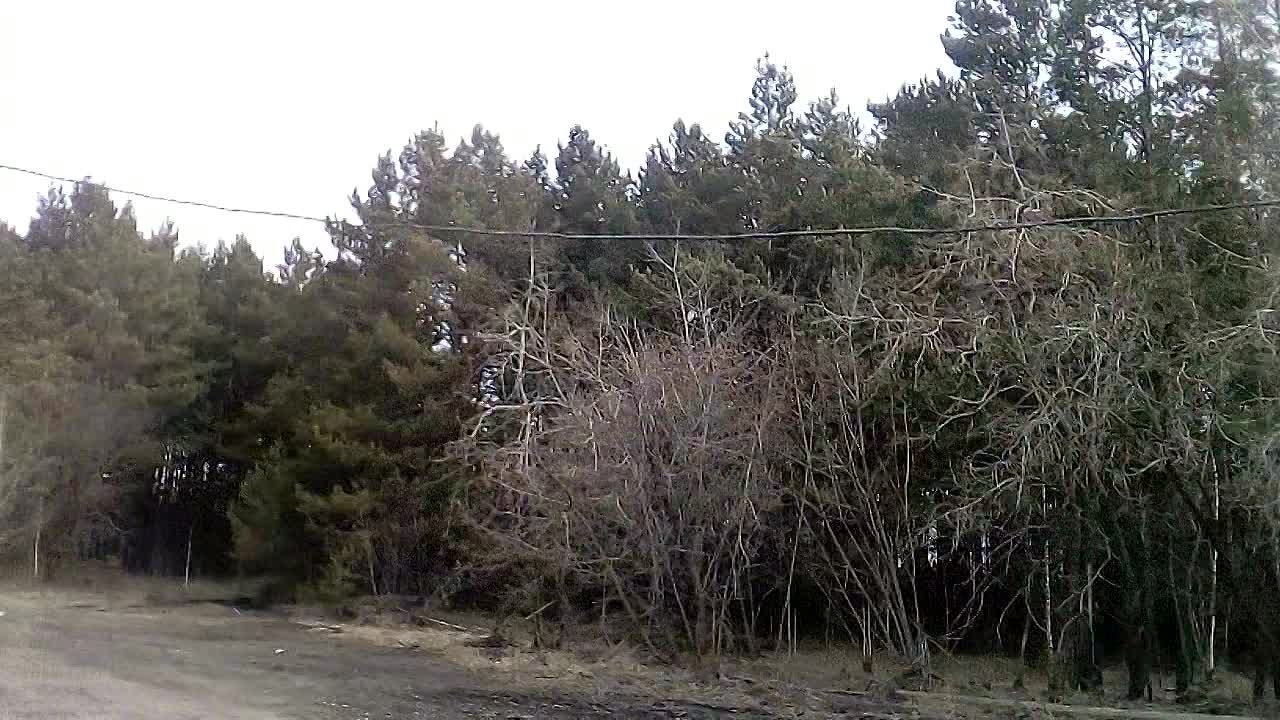 Кузбасс