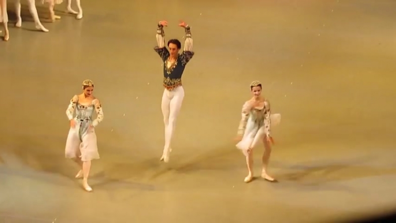 03.10.2018 Mariinsky Swan Lake (25 video-Clips)