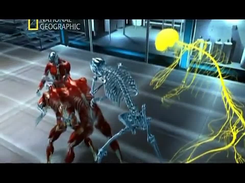 Сериалы