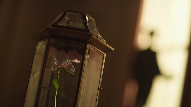 [MV]