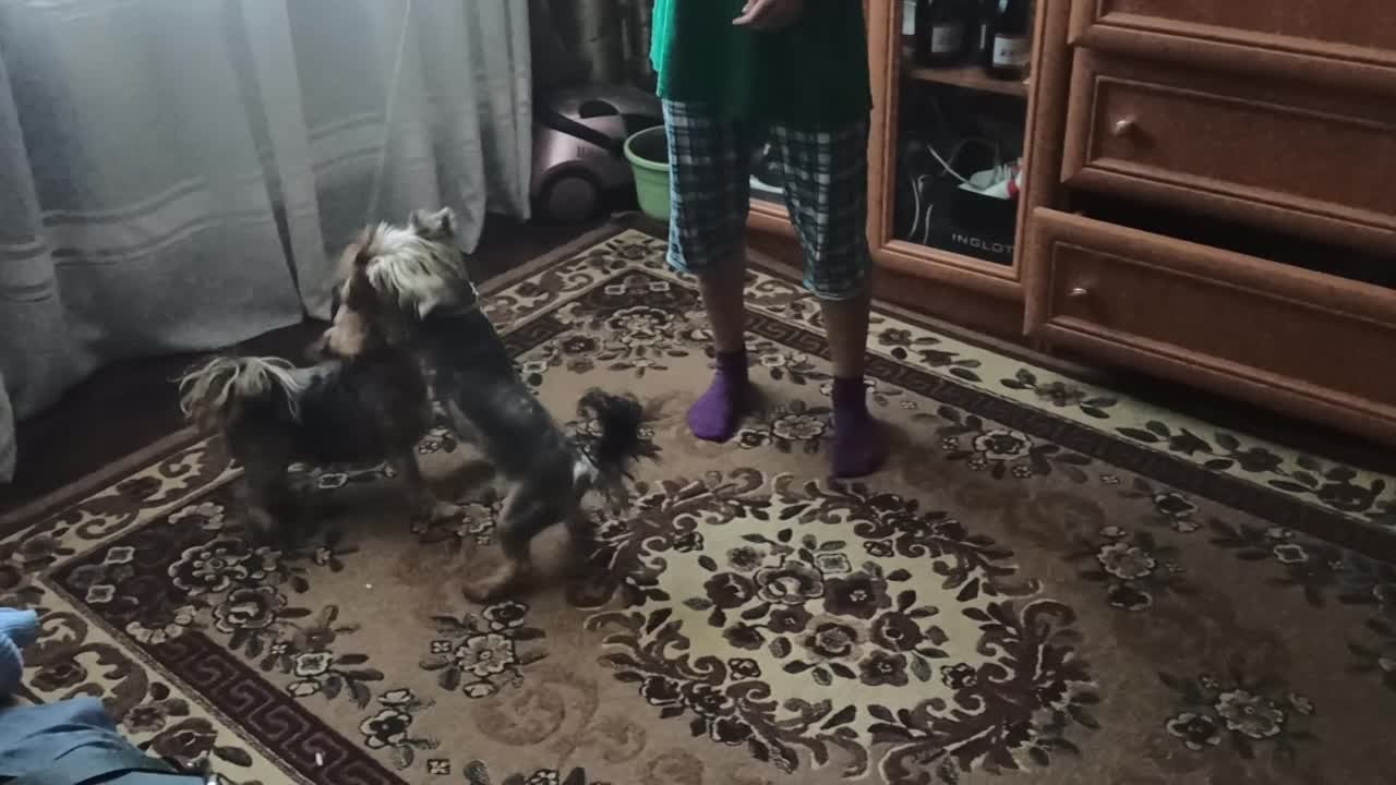 Шахты. Осень 2021