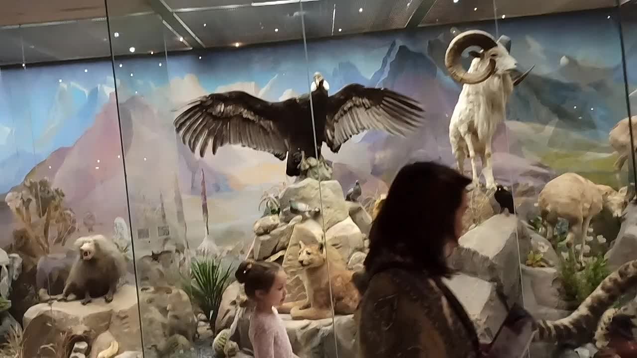 Дарвиновский музей