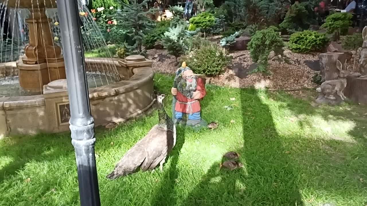 разное