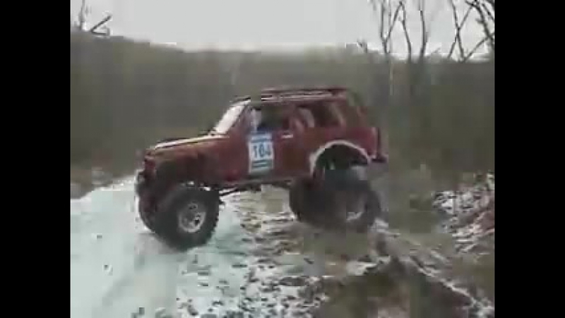 нива