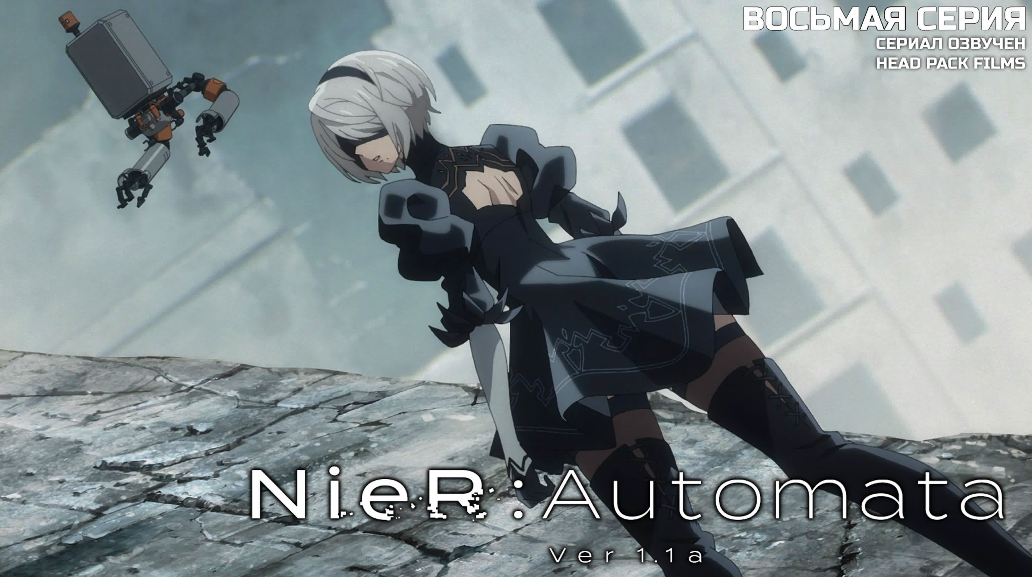 NieR:Automata Ver1.1a