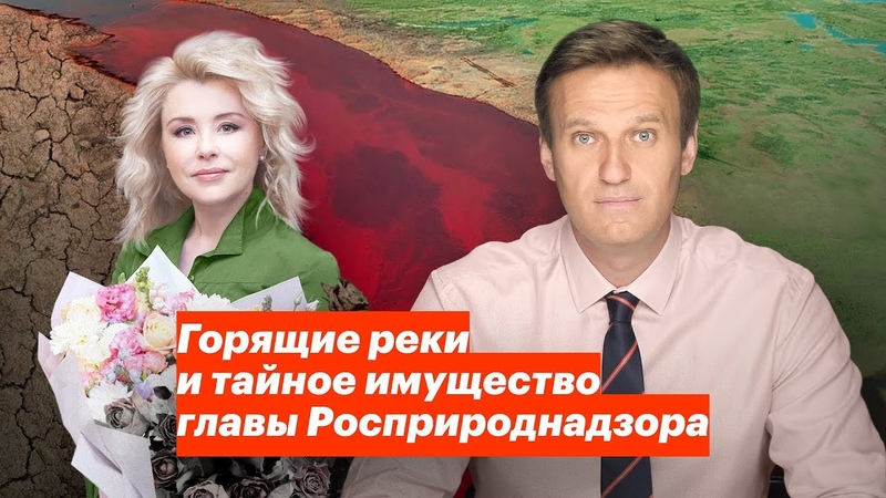 Social & Politics