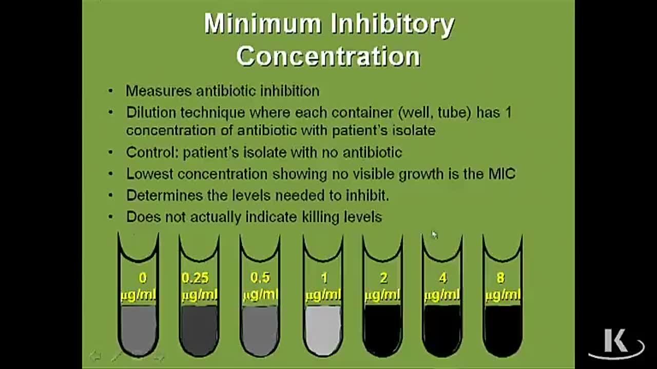 Bacteriology