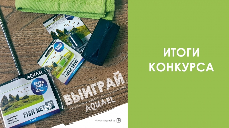 Видео для конкурса