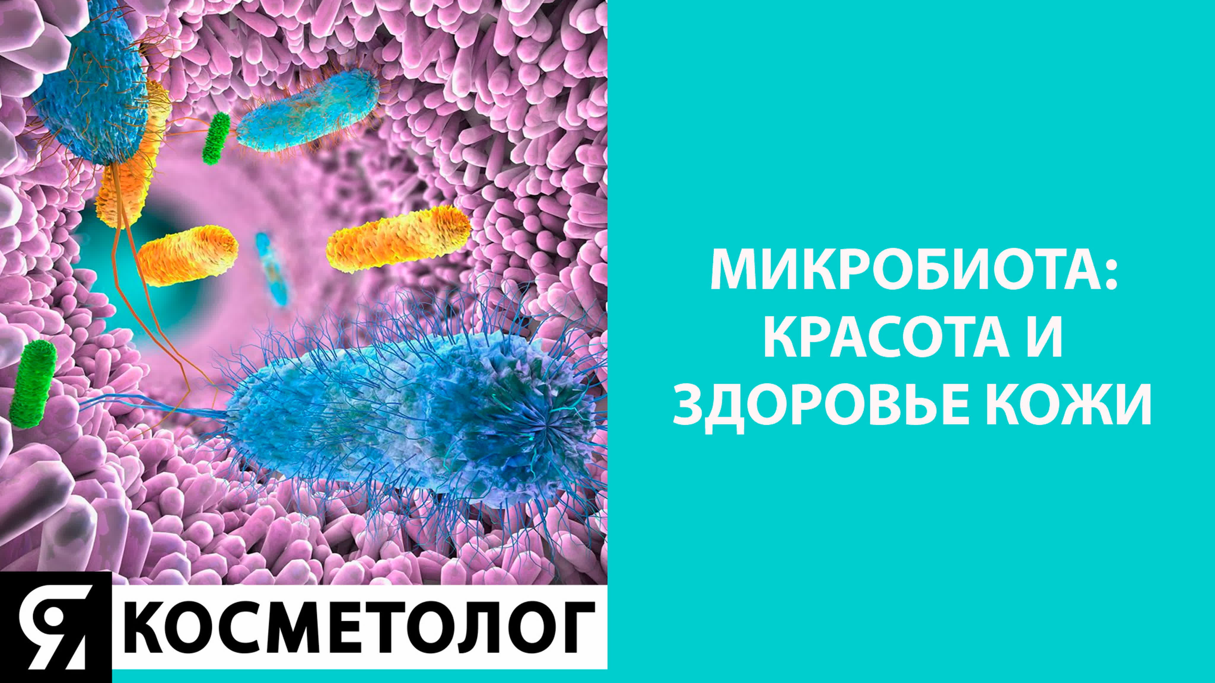 ЯКОСМЕТОЛОГ инстаграм прямые эфиры