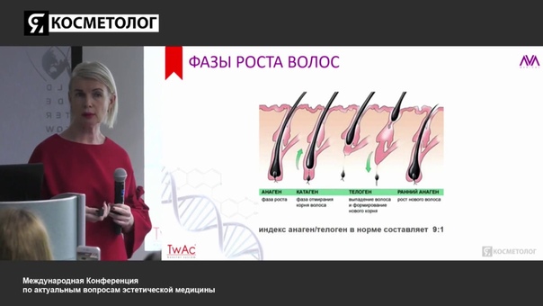 Доклады