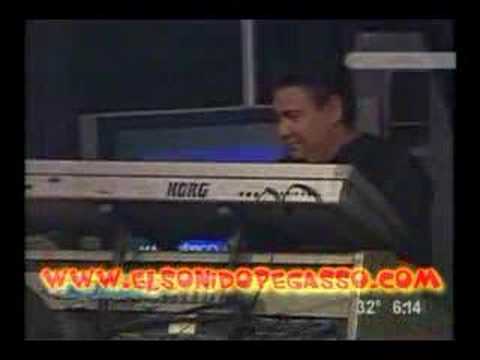 Pegasso