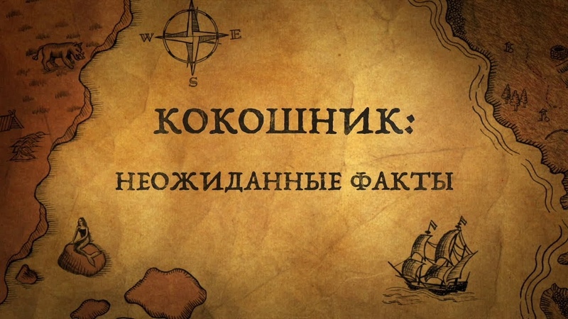 "Короны, кокошники, тиары, диадемы".