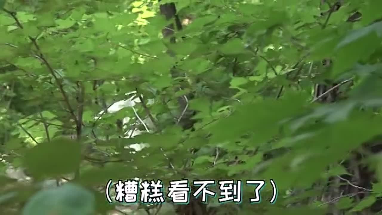 на  китайском сайте сайте bilibili