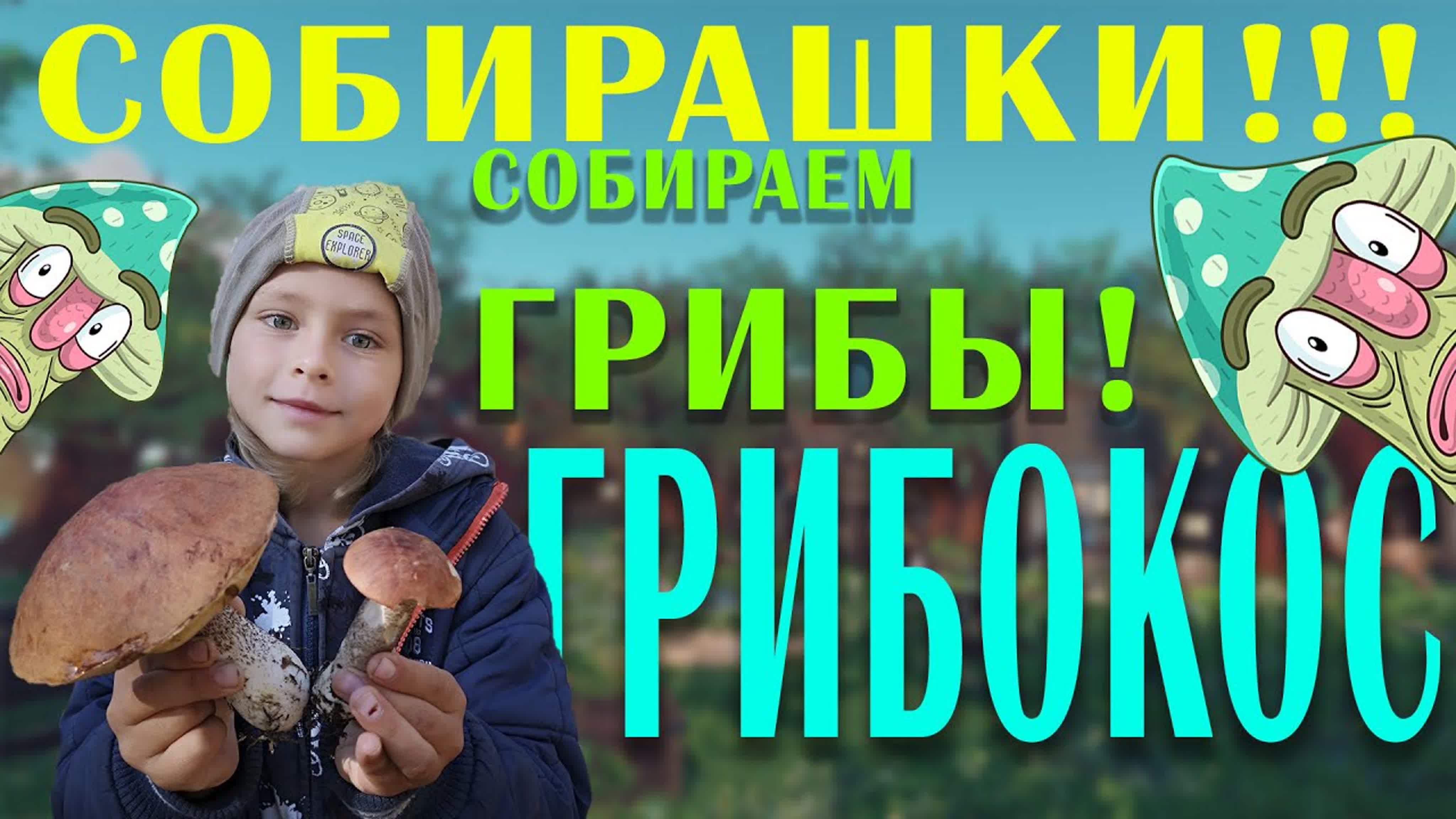 Собирашки