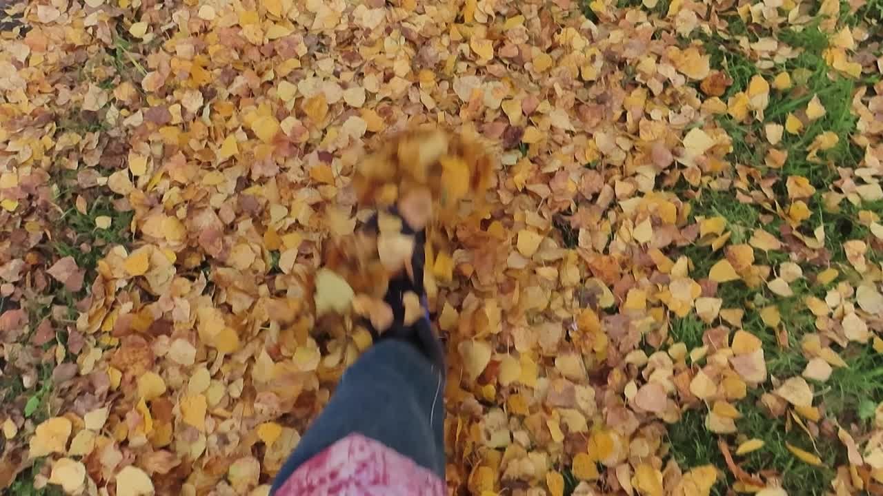 По просторам