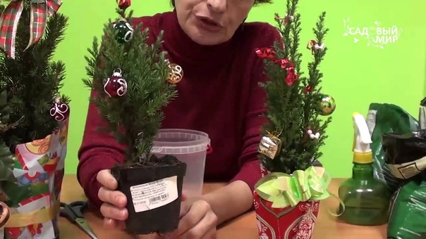 рукоделие и цветоводство