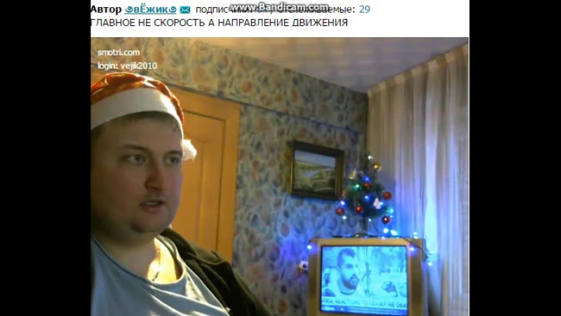 ёжик