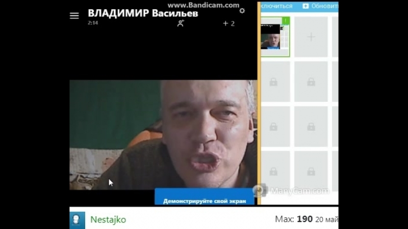 нестояк