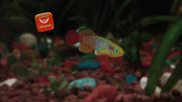 Интересное