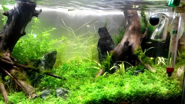 Михаил Горяев