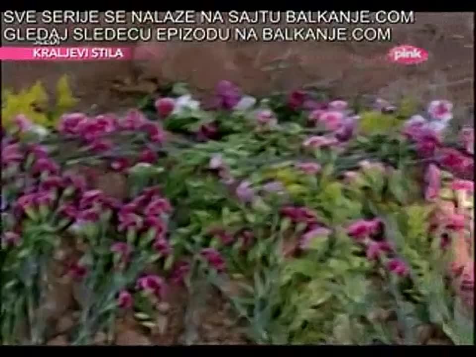Ljubav na silu :)