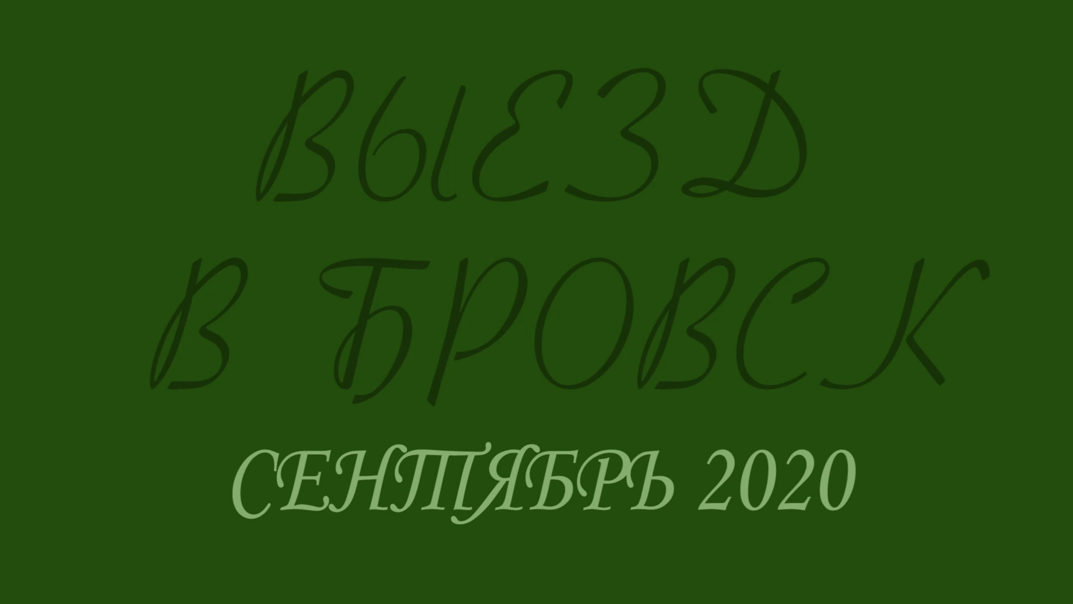 Мои клипы