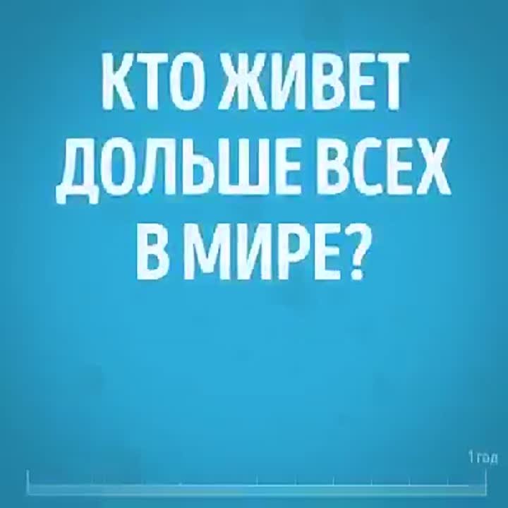 #УДИВИТЕЛЬНОЕ_РЯДОМ