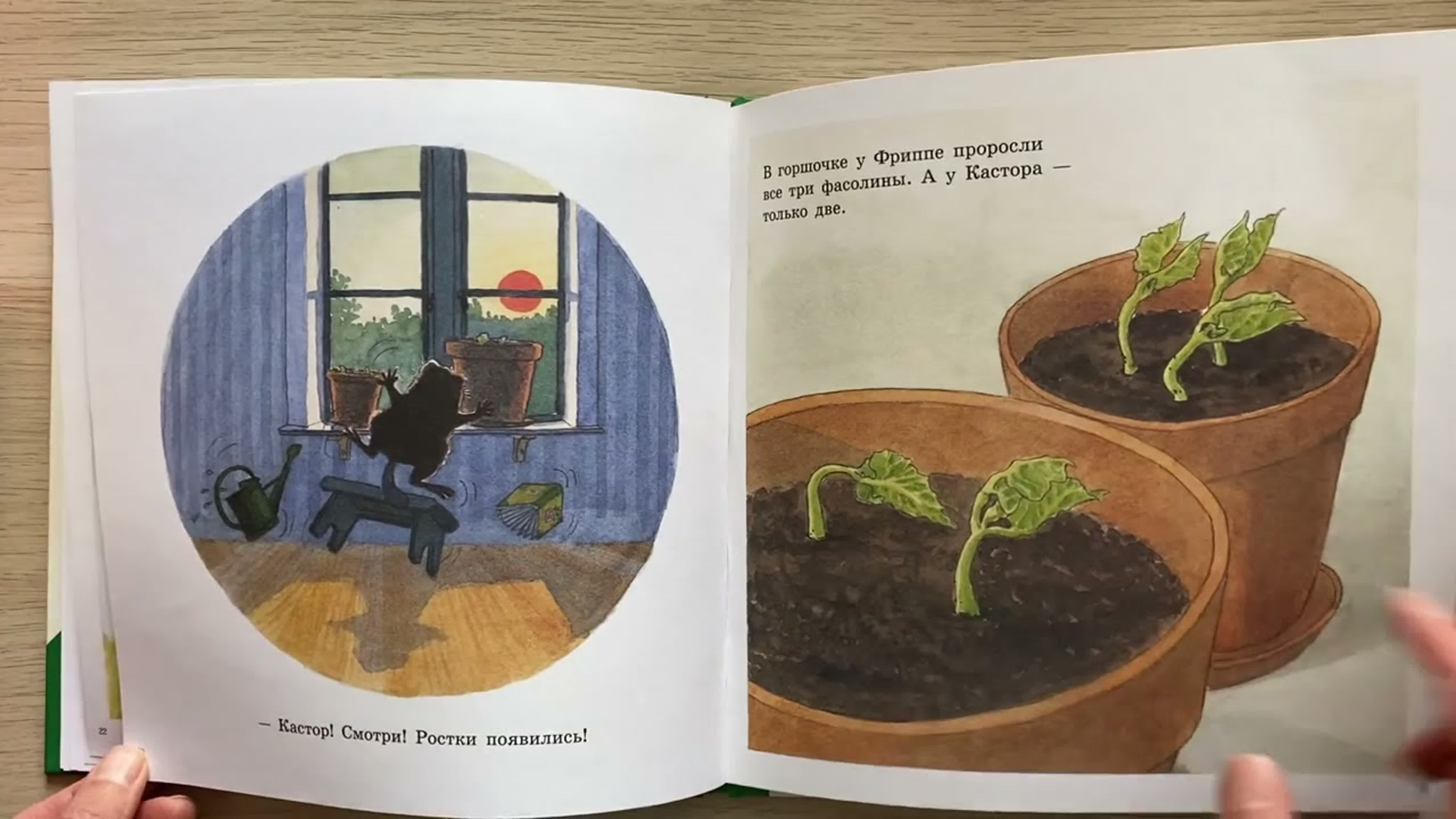 Кастор
