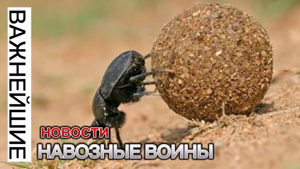 Утренний пост