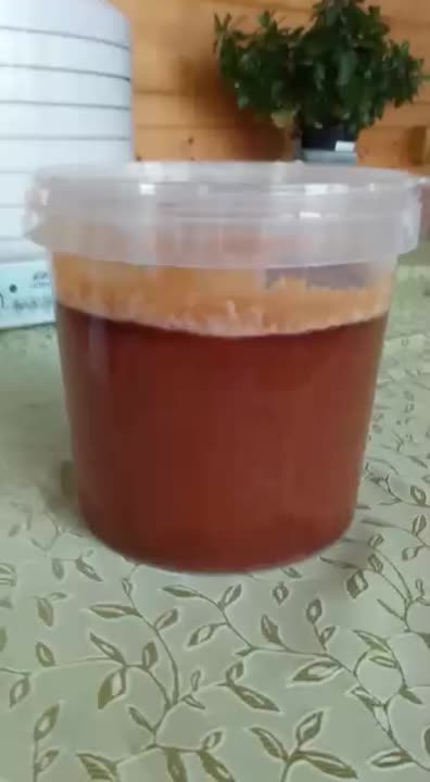 Живая кухня