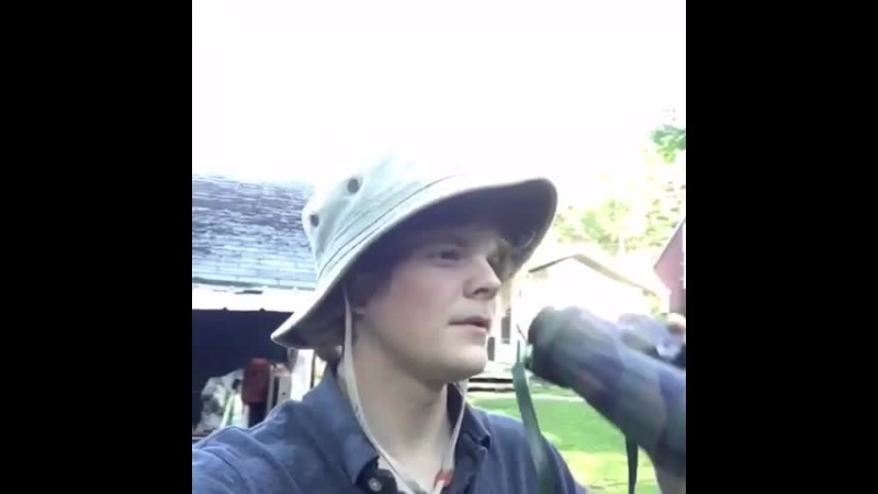 Vine