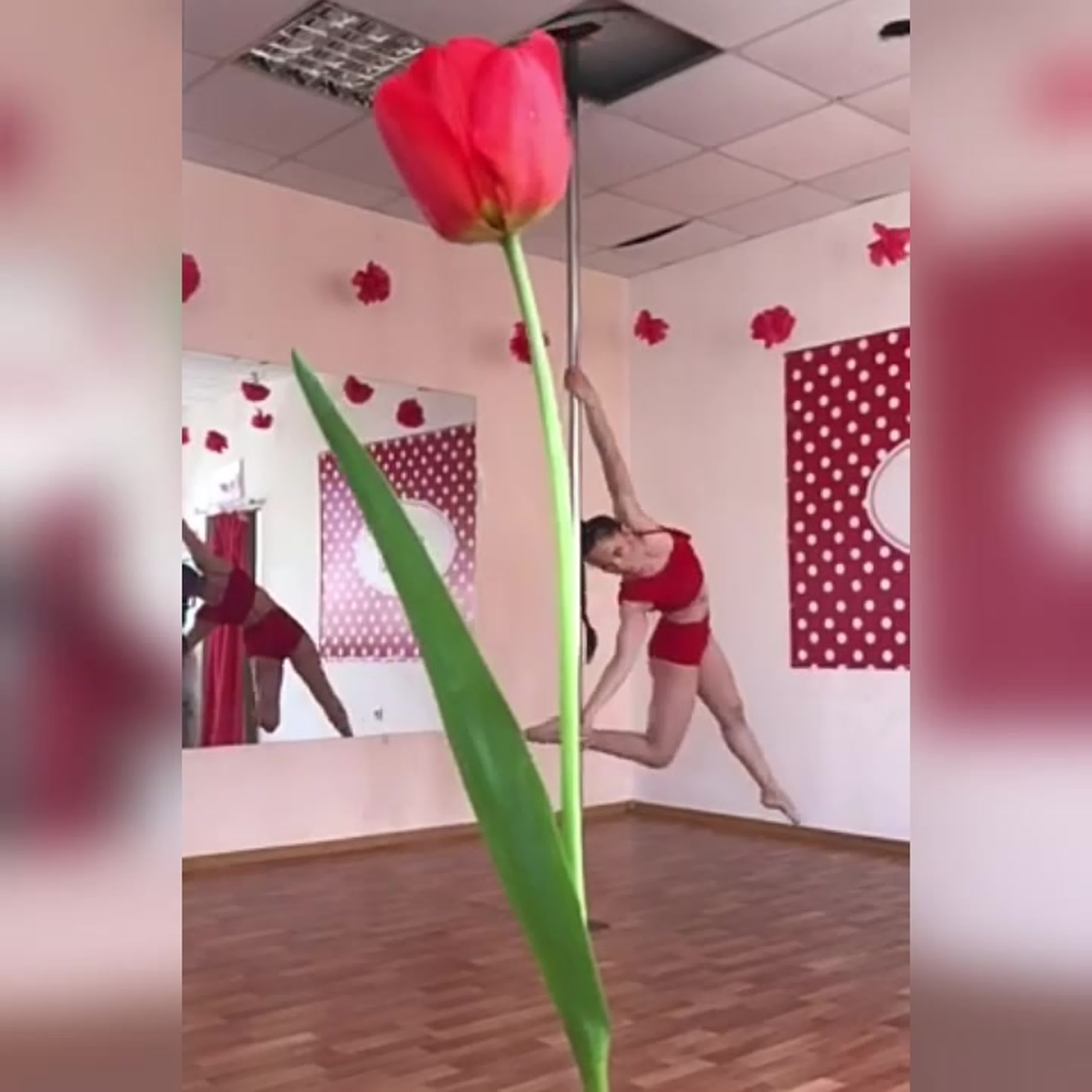 Студия "Dolls".Pole dance.