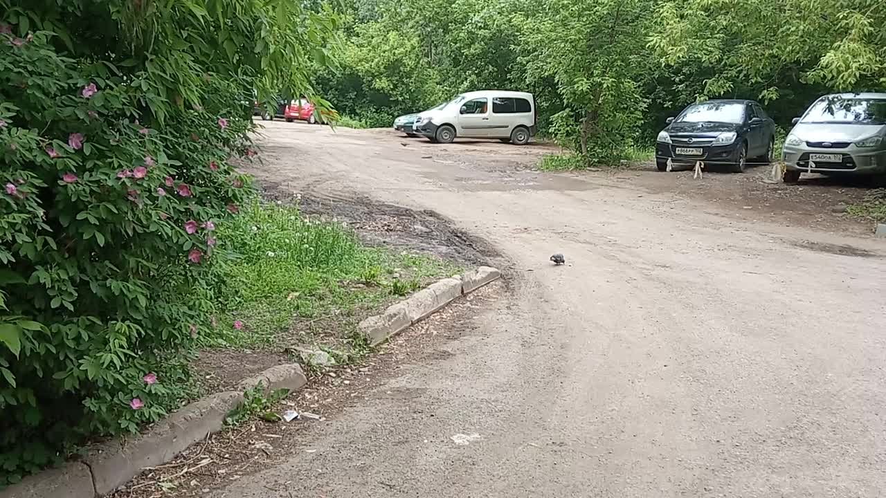 Разное