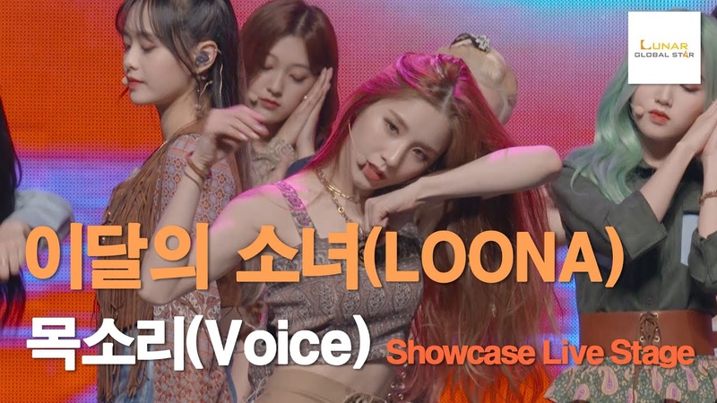 ★ SHOWCASE: WHY NOT?