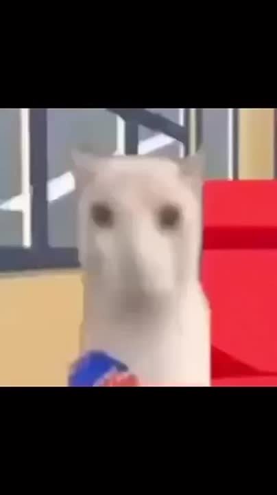 lmao