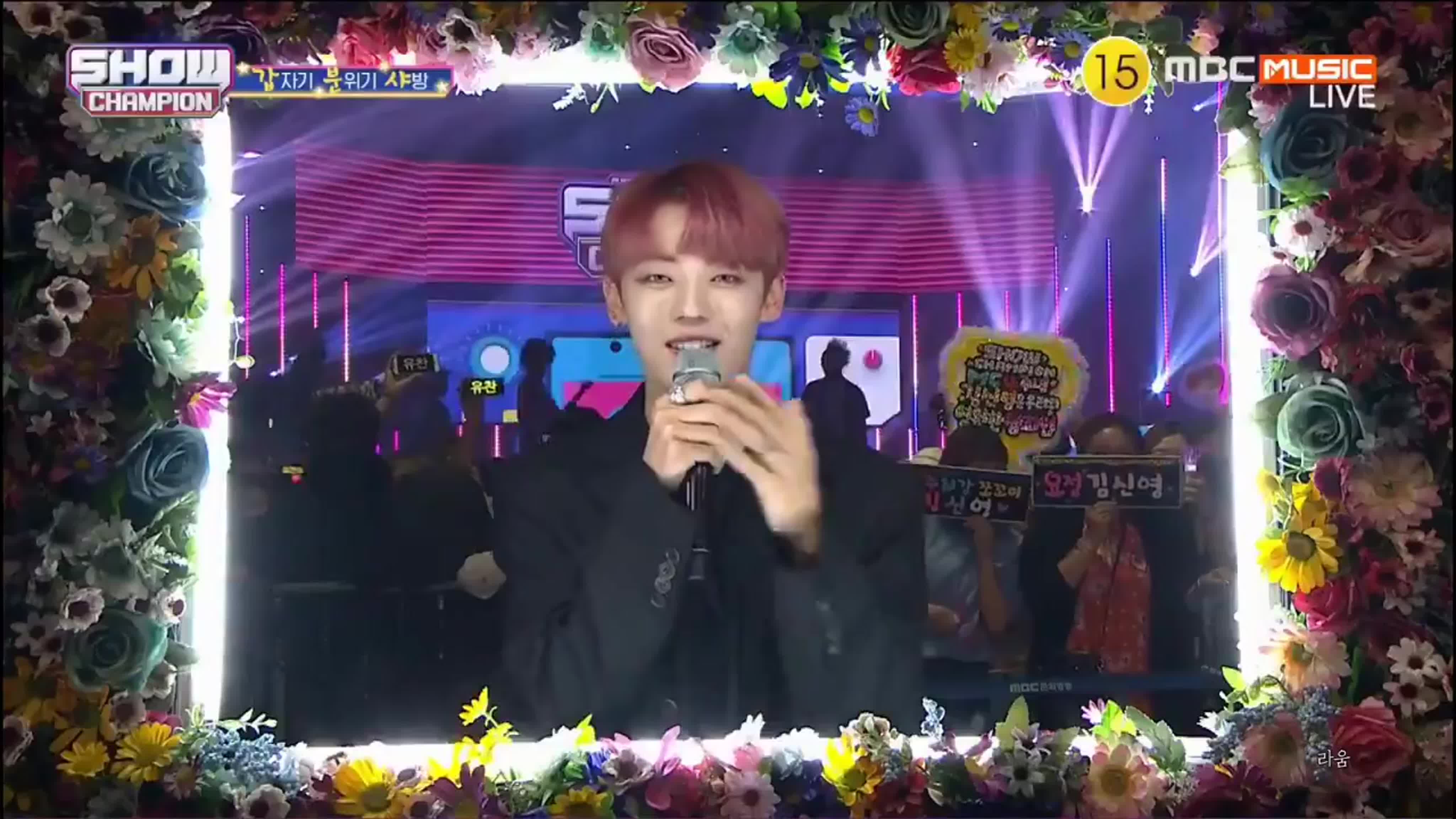 Show Champion