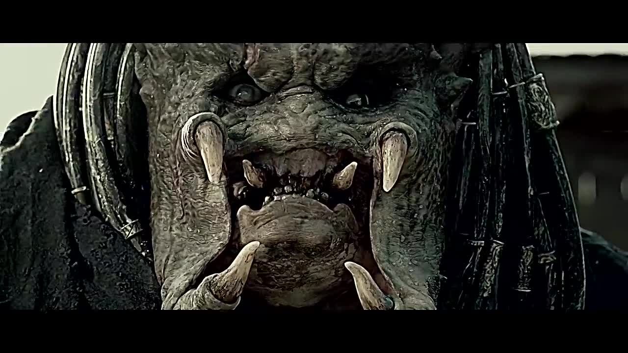 Versus/Поединки