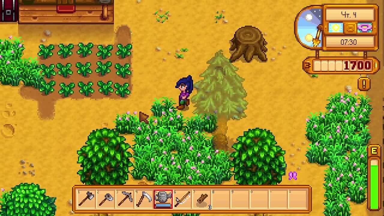 Stardew Valley