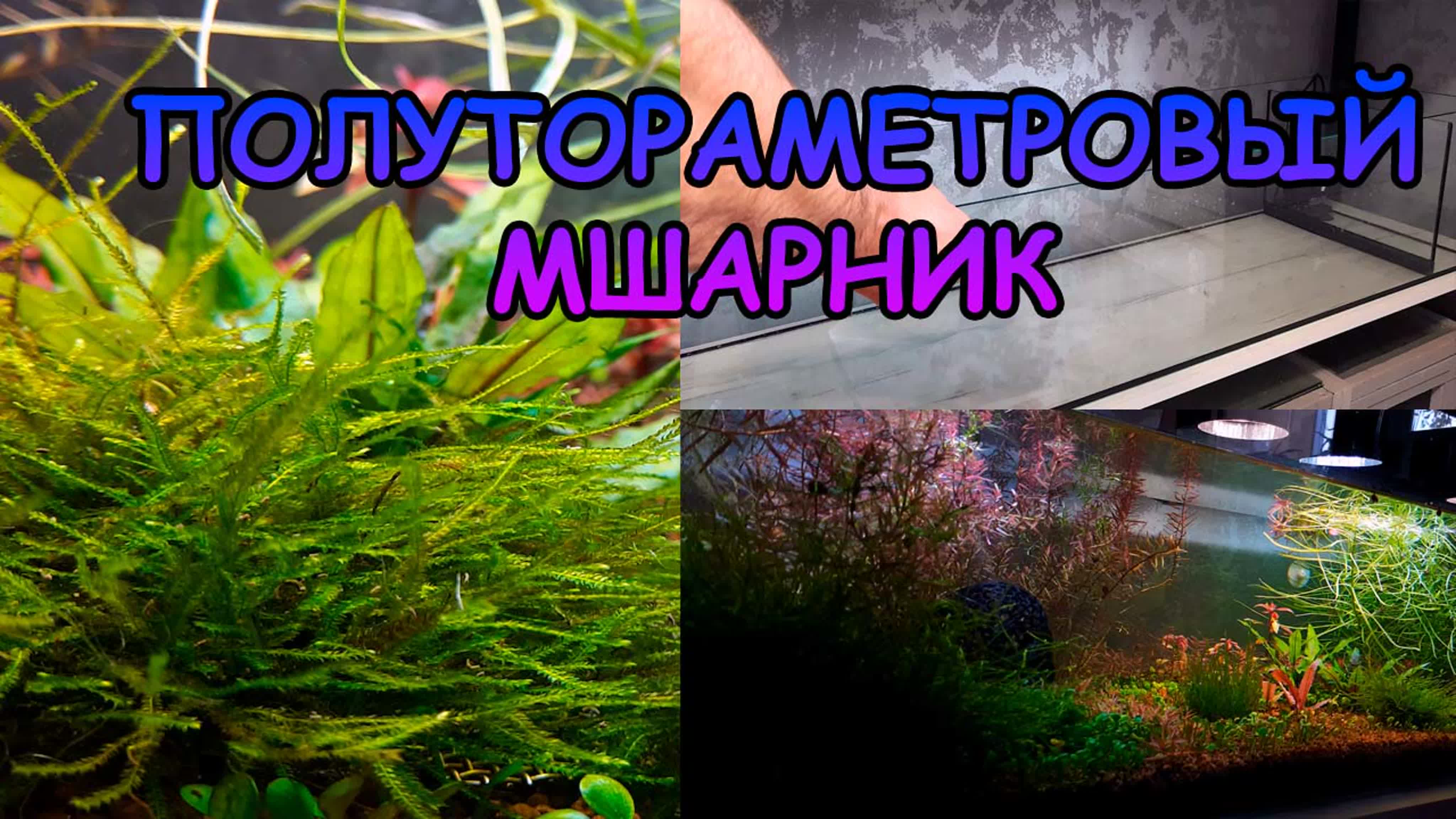 Видео от Аквамена. 2