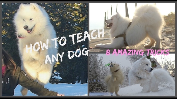 Teach
