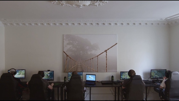 The International 2014: Team Profiles